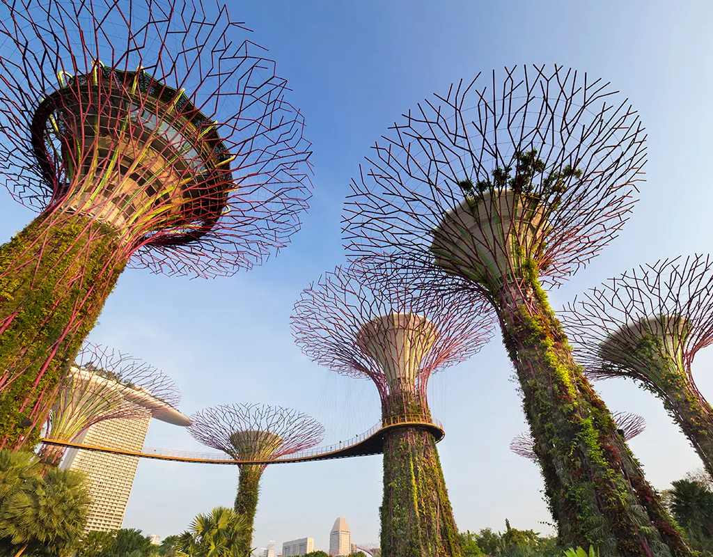 'Siêu cây Grove' trong khu Gardens by the Bay của Singapore. Ảnh:Planet One Images/Universal Images Group/Getty Images