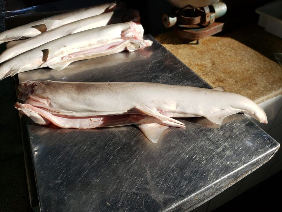 Cá mập đầu ca-pô trưởng thành được bán thịt tại chợ cá Bragança, Brazil. (Ảnh: Leonardo Manir Feitosa)