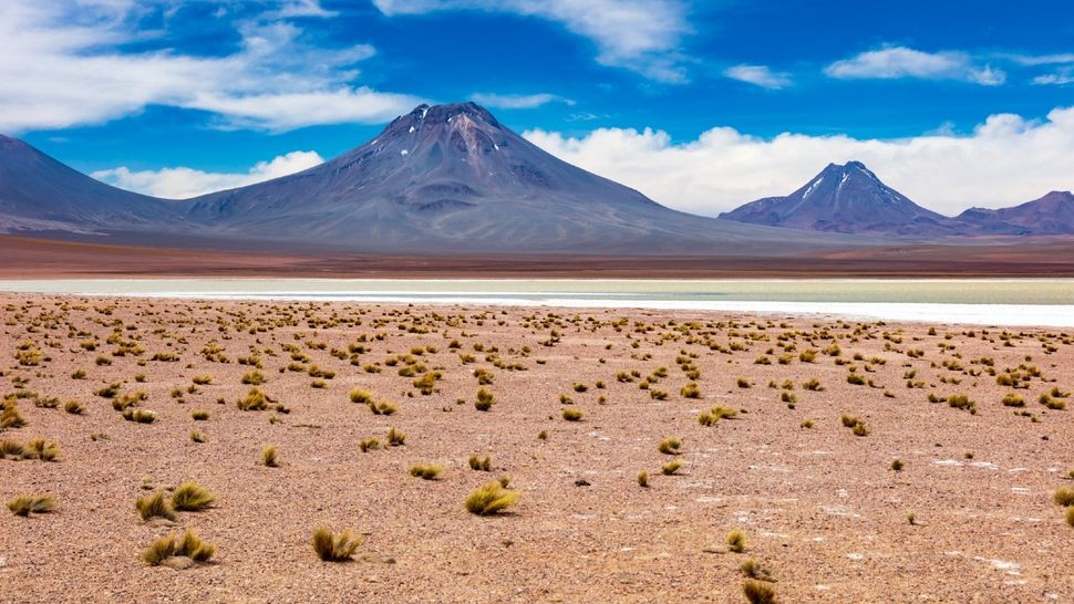 Sa mạc Atacama là nơi sinh sống của những vi khuẩn cực đoan hầu như không cần nước để tồn tại. (Ảnh: Getty Images)