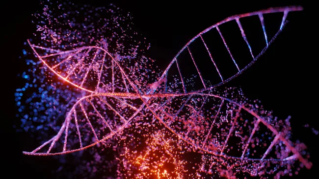 Một nghiên cứu mới tiết lộ rằng đột biến ở các vùng quy định ở một số phần nhất định của trình tự DNA có thể ảnh hưởng đến sự biểu hiện của các gen liên quan đến chứng tự kỷ ở những nơi khác trong bộ gen. (Ảnh: Evgenii Kovalev / Getty Images)