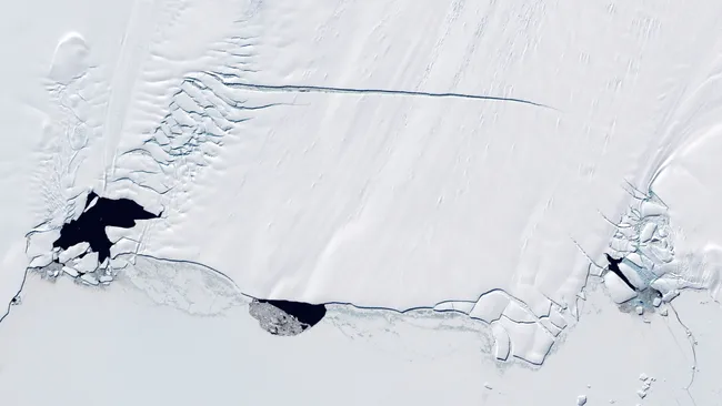 Ba polynyas trên Sông băng Đảo Thông ở Nam Cực vào năm 2001. (Ảnh: Đài thiên văn Trái đất của NASA)